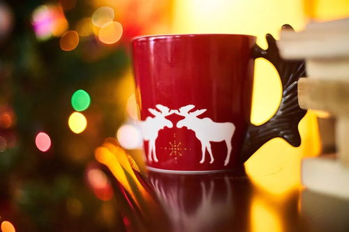 玫瑰不用长高，晚霞自会俯腰：我的文字与生活的温柔相遇