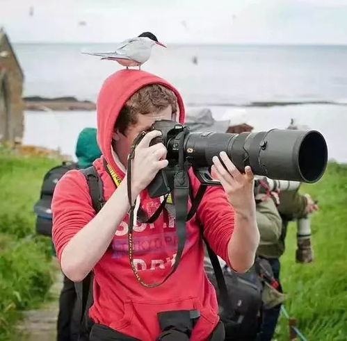 李现手持专业摄影器材在野外拍摄