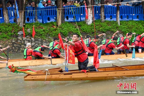 头一次见人在水里划龙舟的？这场面太震撼了！