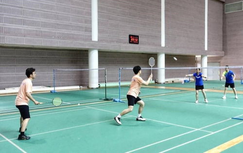 两人在羽毛球场上激烈对打