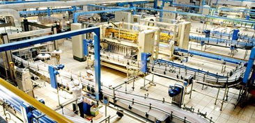 娃哈哈工厂生产线忙碌运作中