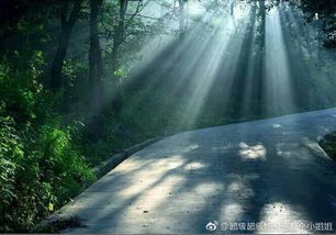 35岁小伙放弃城市生活 爆改山洞隐居4年，网友：这才是真·世外桃源