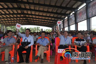 荔枝拍卖会现场