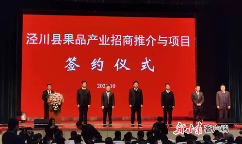 国际调解院签约仪式概念图