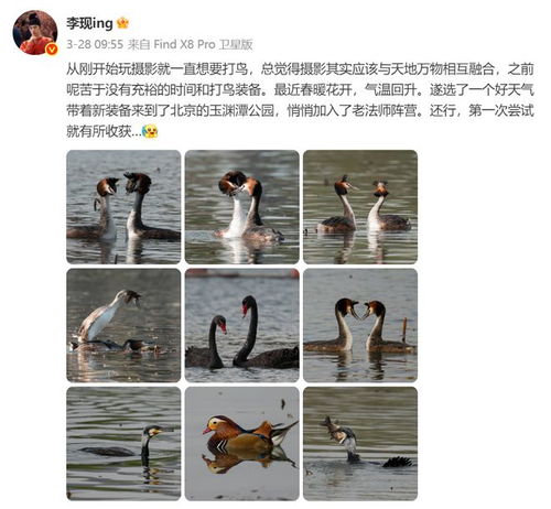 生态环境部微博截图点赞李现拍鸟