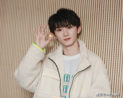 马嘉祺接受采访的照片