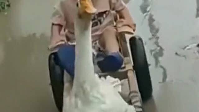 懂事的大人开始准备礼物了｜六一节前的温暖仪式感