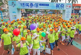 东方的“水上F1”：我在佛山叠滘水乡见证龙舟速度与激情