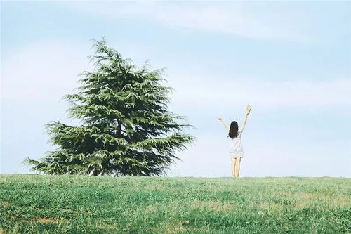 李现在公园里拍照的身影