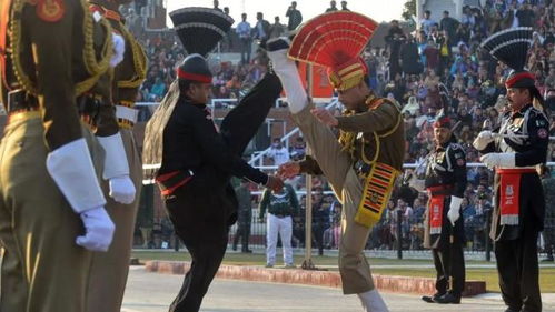 歼-10CE与阵风战机对比