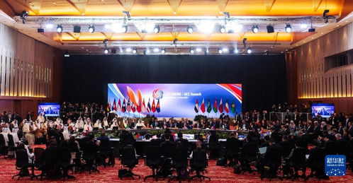 东盟中国海合会峰会现场各国代表合影