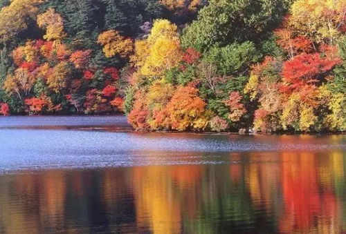 湖畔夏日红叶倒影