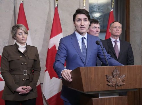 加拿大总理特鲁多在记者会上发言