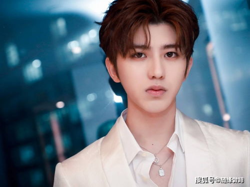 蔡徐坤舞台高音爆发瞬间