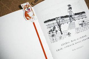 写满笔记的笔记本