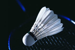 羽毛球拍和羽毛球摆放在桌上