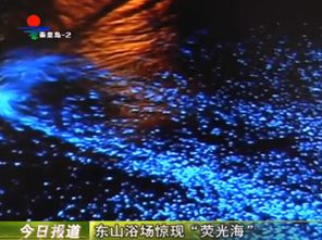 夜晚海滩上的蓝色荧光海洋