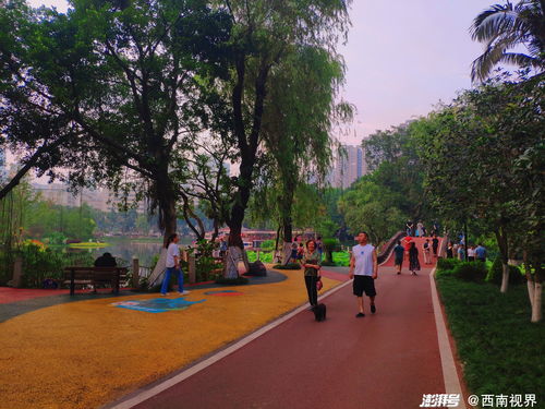 重庆大学校园风景