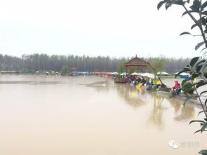 南京八卦洲失火？真相来了！别再传了，全是误会