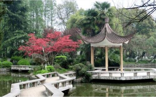 湖南大学校园风景