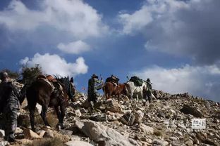 庄之行背叛藏海？一场棋局中的血色复仇与人性挣扎