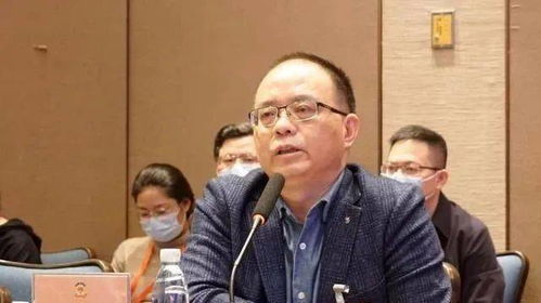 陈伟在会议上发言照片