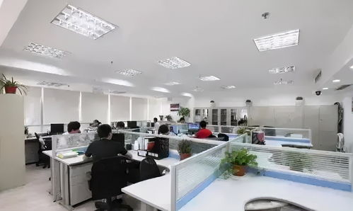 职场办公环境实景照片