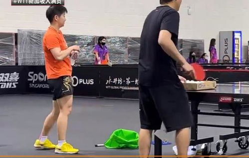 孙颖莎含泪感谢邱贻可：师徒情深背后的坚持与误解