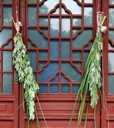 端午节挂艾草有讲究，原来这些细节你都忽略了！