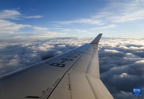 滑向球将要到达的地方：从物理到游戏，一场关于轨迹的探索之旅