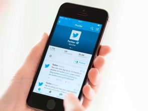 小哥拿着手机在社交媒体上发布荔枝信息