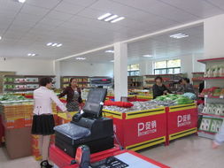 旅游购物价格对比示例