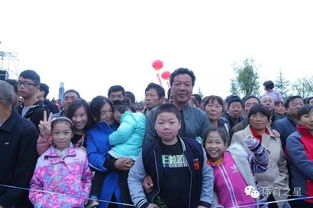 热闹的龙舟比赛现场观众欢呼雀跃