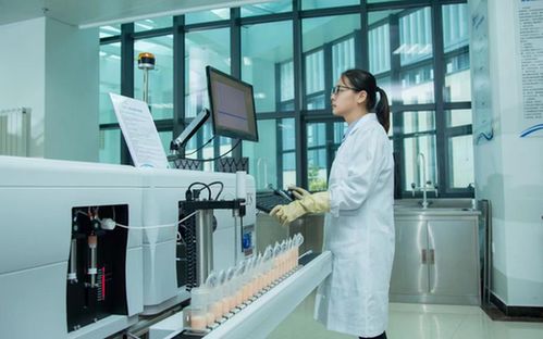 伊利实验室科研人员工作场景