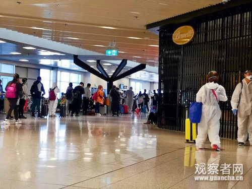 中国留学生在机场准备回国