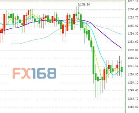 华尔街股市因关税政策波动