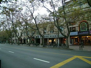 上海衡山路惊现“鼠从天降”！维修工亲身经历让人头皮发麻