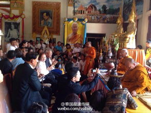 现场游客围观拍照