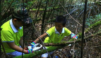 环保志愿者在溶洞内清理垃圾