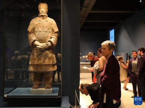 男子掉进兵马俑坑疑砸坏3个兵马俑，网友热议：是意外还是代价？