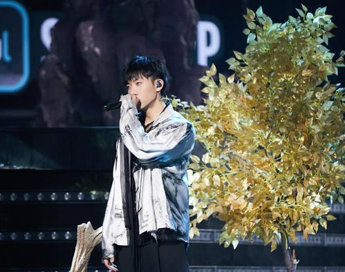 杨和苏在舞台上的表演