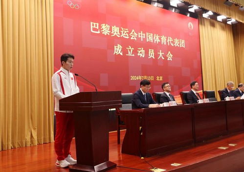 中国代表团在会议中发言