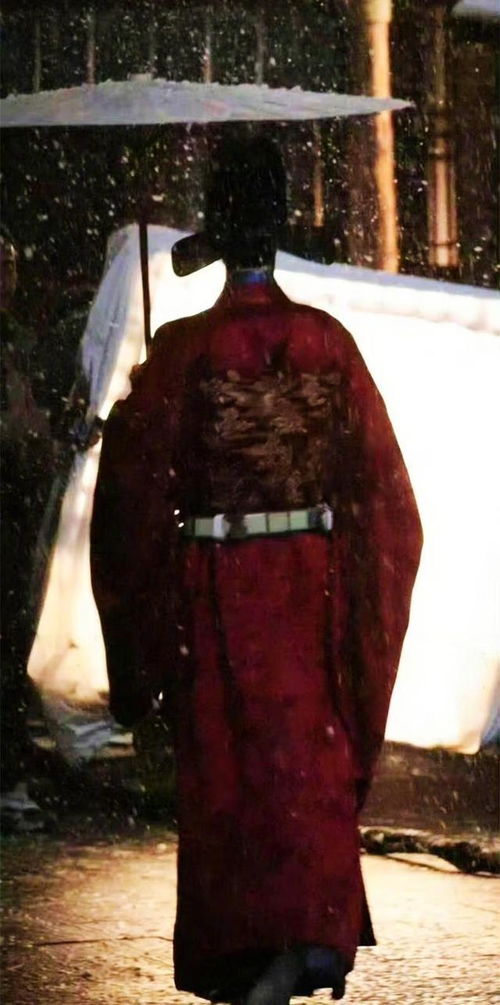 国外网友模仿藏海传角色的视频截图