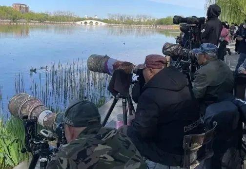 李现‘拍鸟’意外成公务员面试题，明星跨界引发全民热议