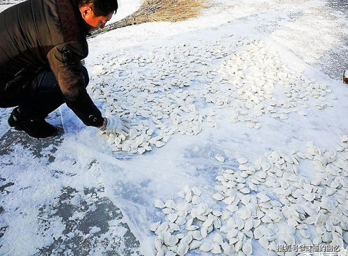 北方果然不擅水战？我在抖音刷爆的段子背后，藏着真实历史故事！