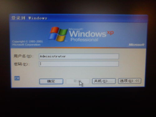 用户正在电脑前使用iTunes恢复手机数据