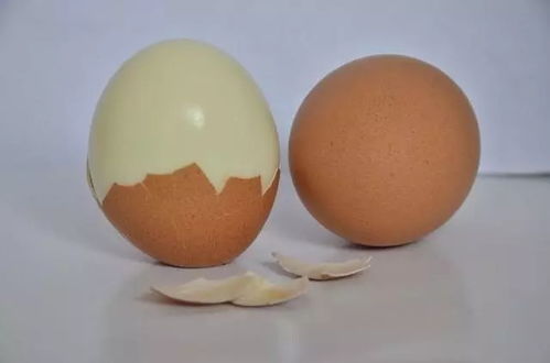 只吃鸡蛋减肥法