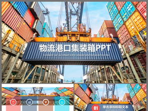 美国海关港口集装箱货物运输现场