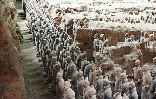 男子掉入兵马俑坑引发热议！官方回应来了，真相让人意想不到