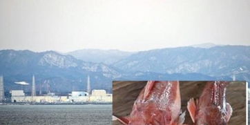 中方回应日本水产品输华请求：科学为先，安全为重